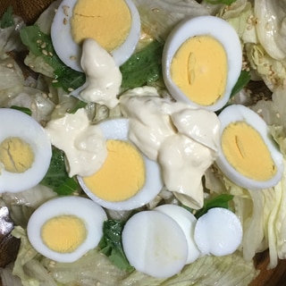 ゆで卵、レタス、えごまの葉、白ごまのサラダ